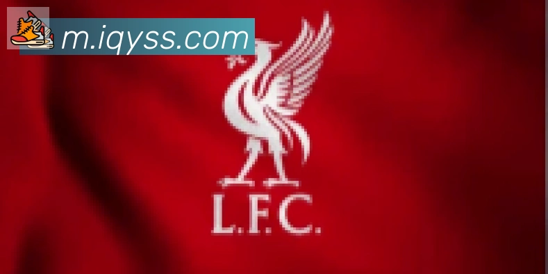 乐鱼官网平台合作伙伴